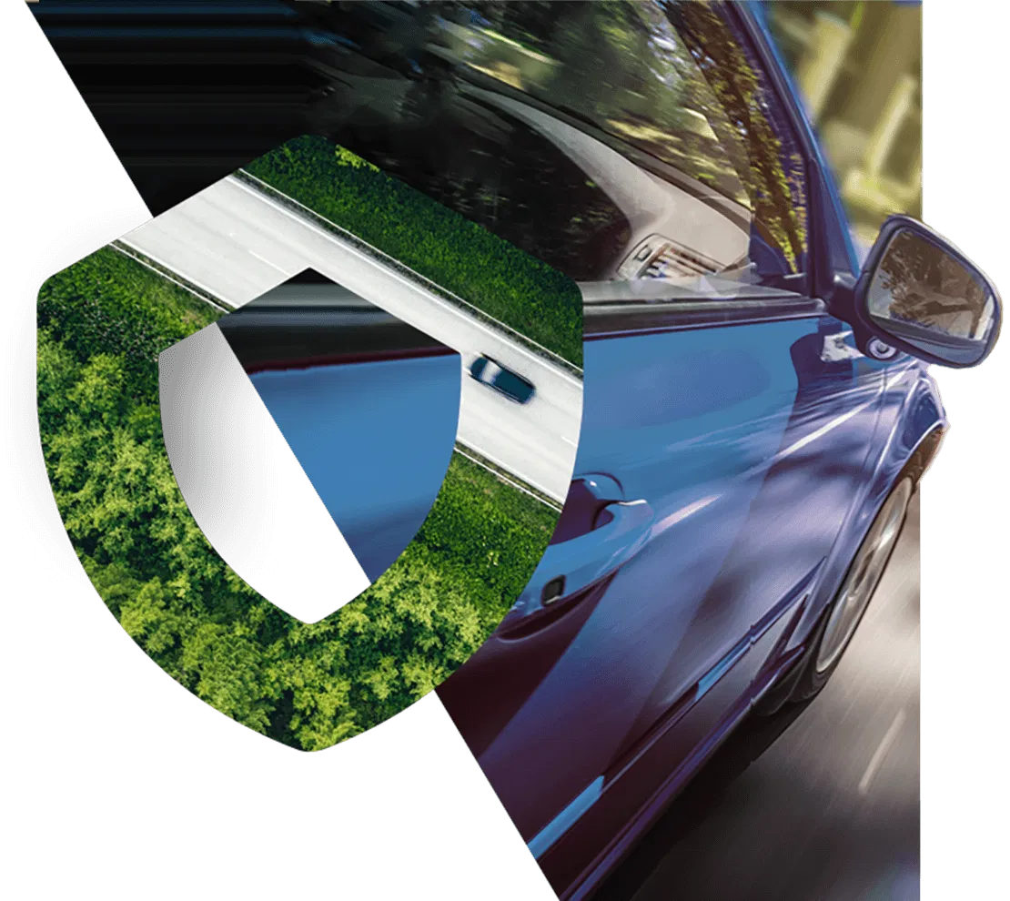 Auto Insurance Shield