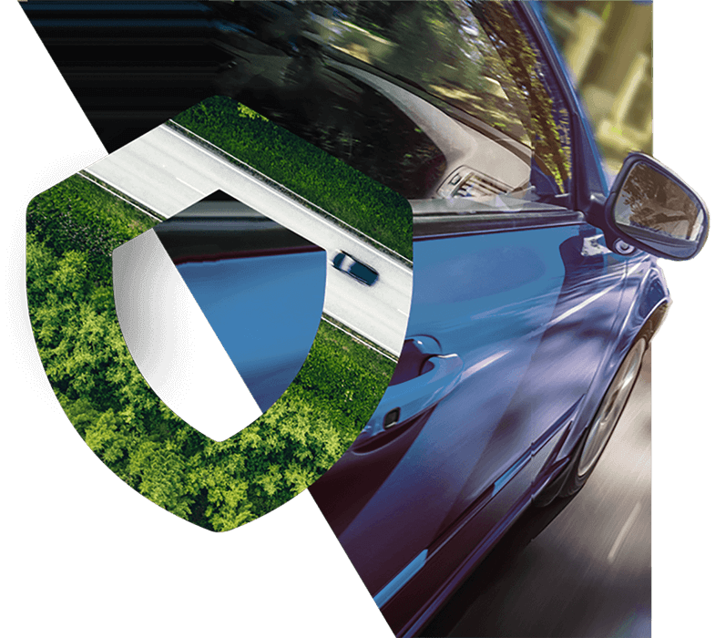 Auto Insurance Shield